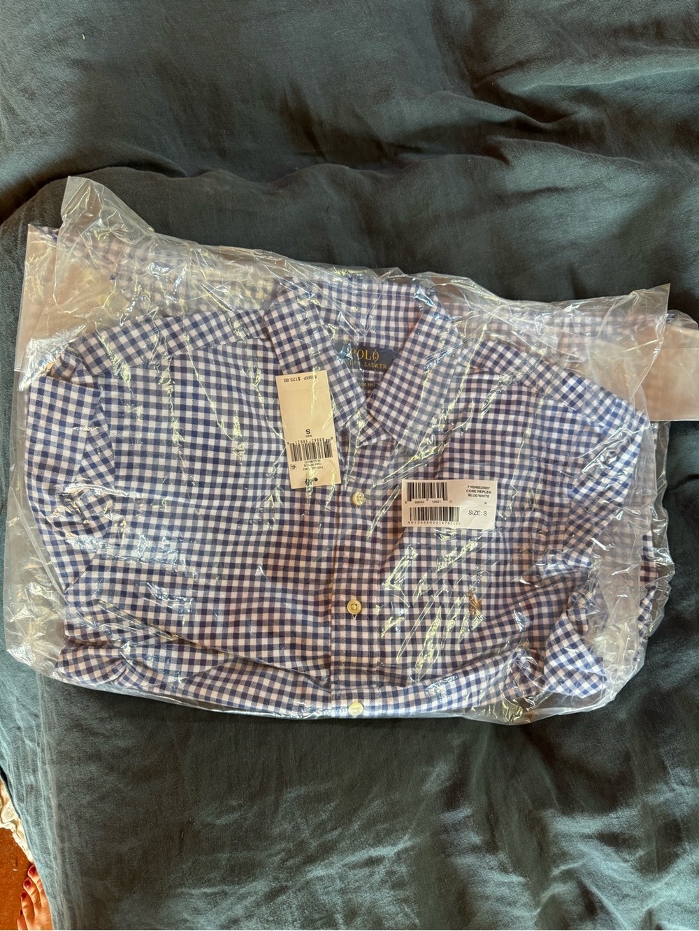 Polo by Ralph Lauren Blue Gingham Button-Down Shirt